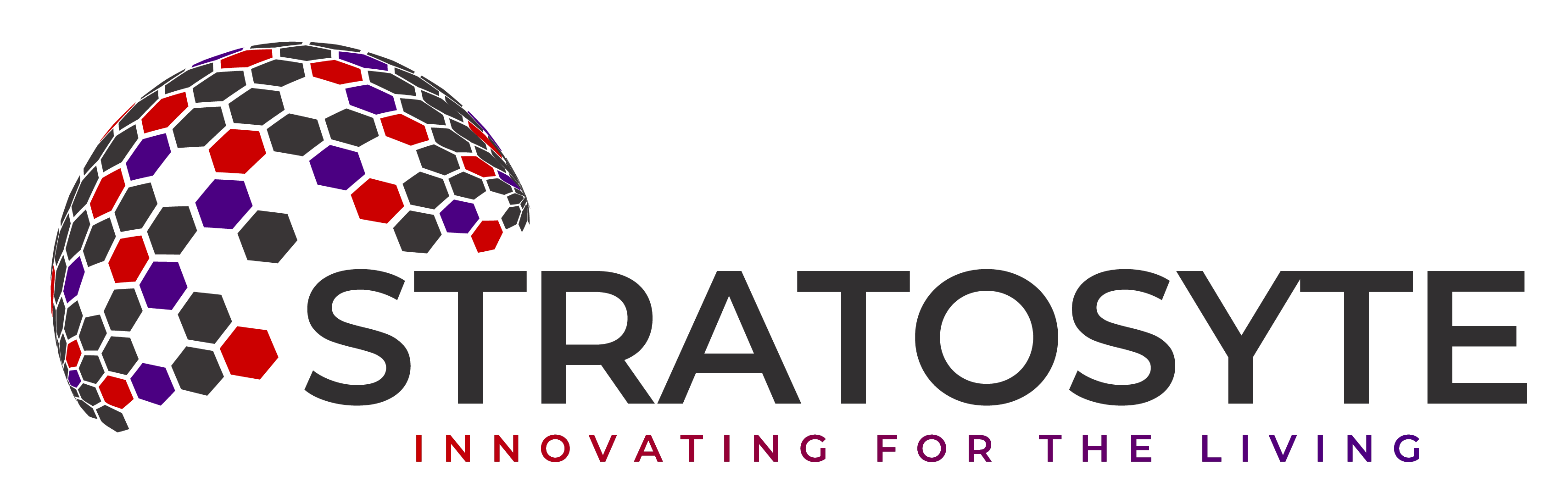 Stratosyte Logo